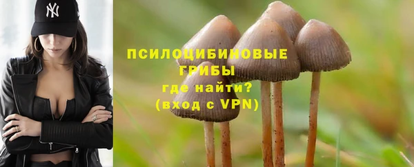 не бодяженный Беломорск