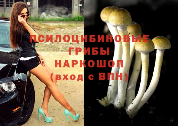 индика Семилуки