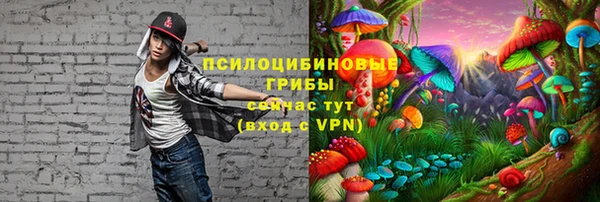 твердый Белоозёрский