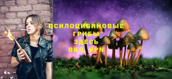 не бодяженный Беломорск