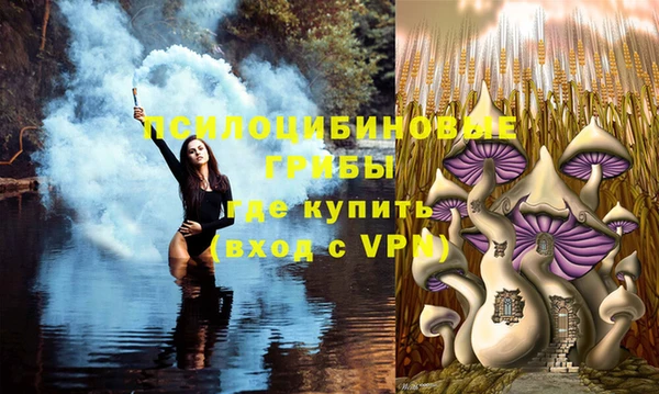 не бодяженный Беломорск