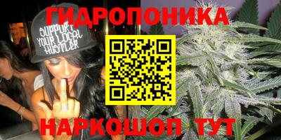 a pvp Жуковский