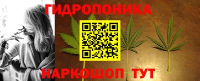 гидра Заводоуковск