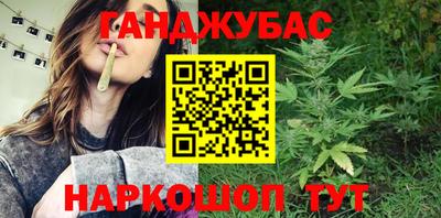 гидра Заводоуковск