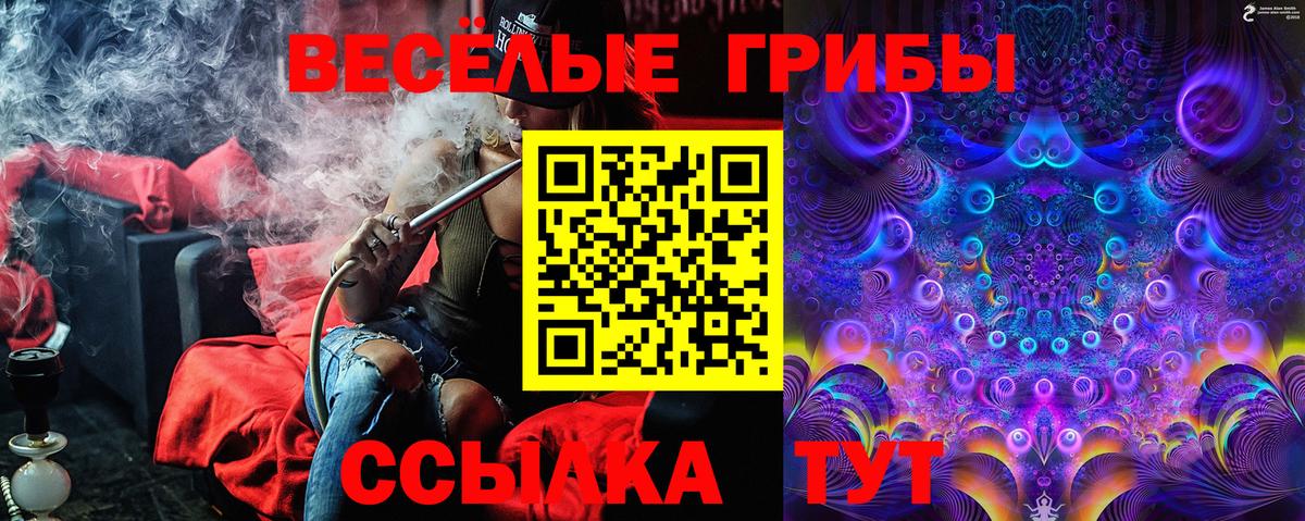 Псилоцибиновые грибы Cubensis Луховицы